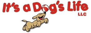 Doggy daycare, pet sitting, doggy daycare, greenfield, milwaukee